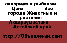 аквариум с рыбками › Цена ­ 15 000 - Все города Животные и растения » Аквариумистика   . Алтайский край